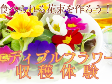 【イベント終了】食べられる花束を作ろう！エディブルフラワー収穫体験