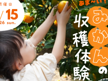 【3/15開催】先着10名！あま〜い甘夏みかんの収穫体験！