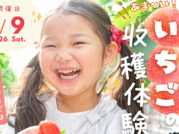 【5/9開催】完熟！いちご狩り＆苗刈り体験！※先着10名限定